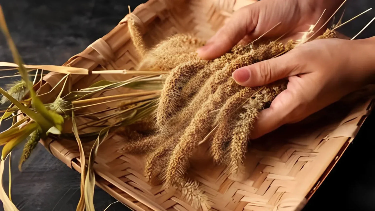8 Foxtail Millet Benefits, Nutrition, Uses, Recipes And More