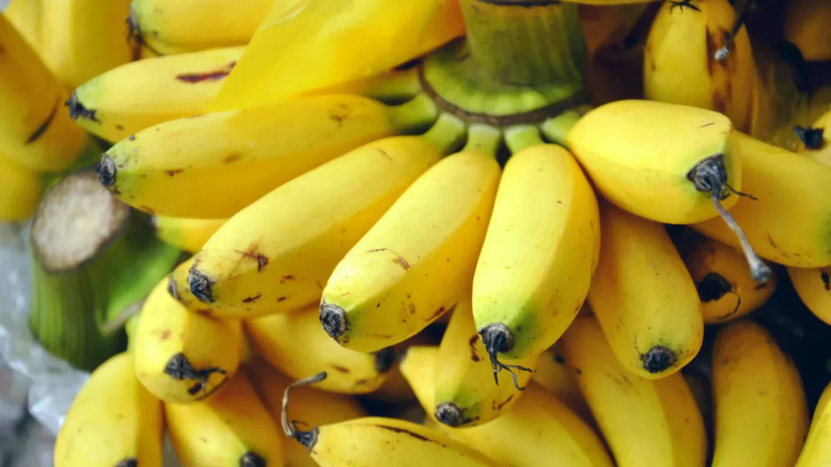 banana nutrition