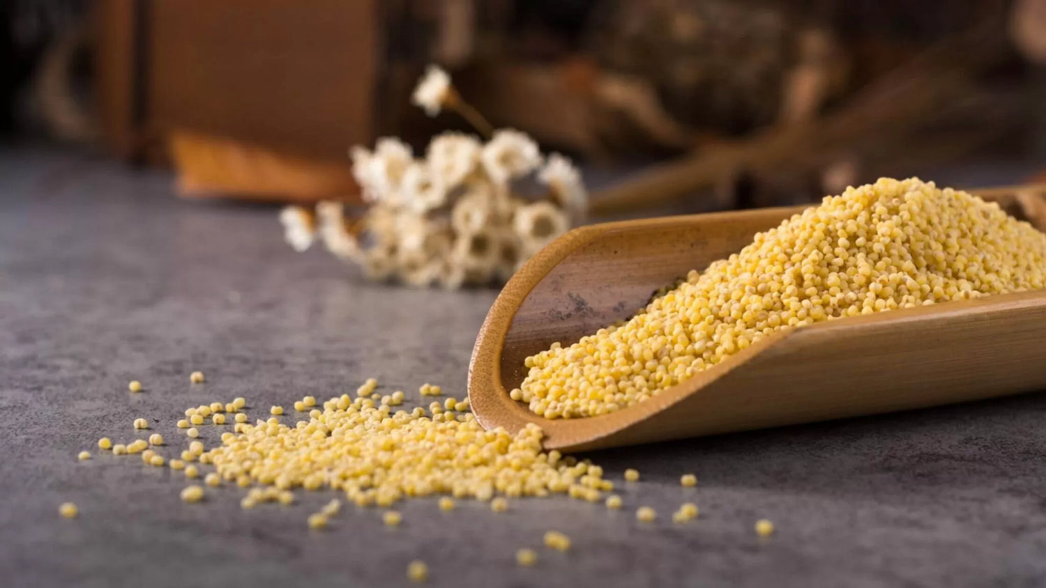 Kodo Millet benefits nutrition recipes