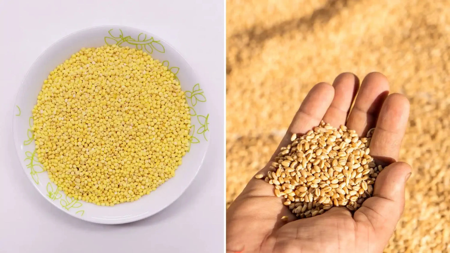 Millet vs Wheat: Which Grain Should You Include in Your Diet?