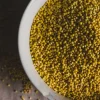Barnyard millet