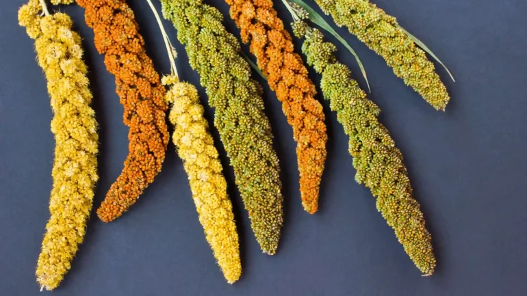 Types of Millets